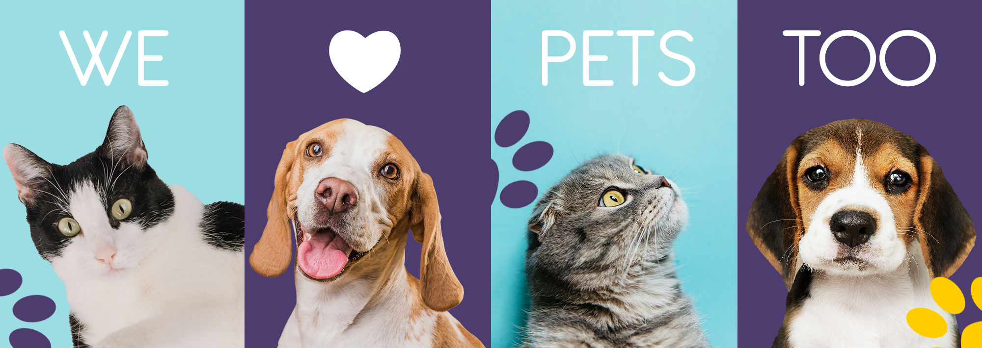 we love pets image